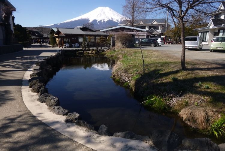 富士山忍野八海出事！遊客狂掟銀嚴重污染　日媒警告:捉到或重罰