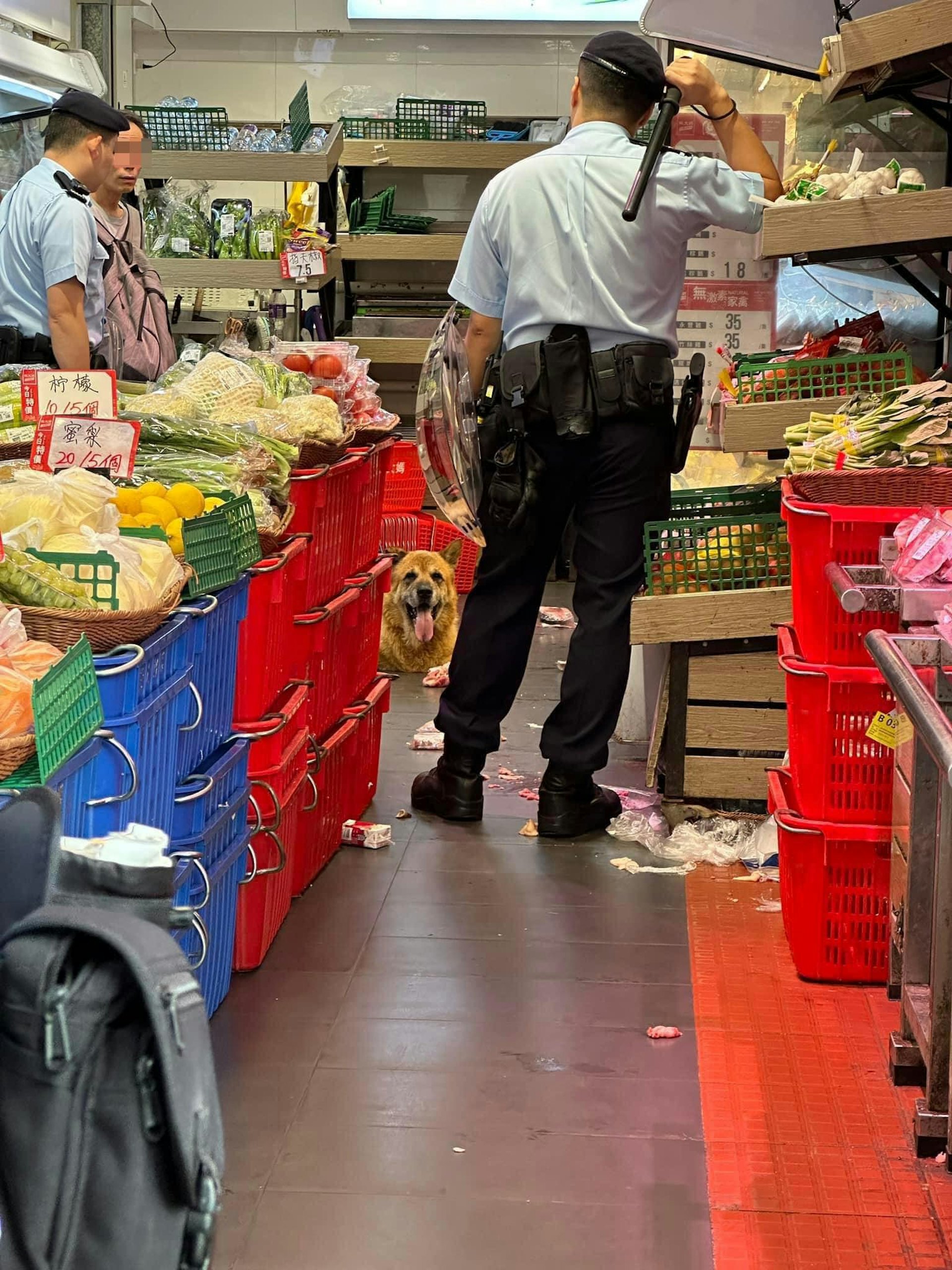 唐狗疑偷吃店舖的生豬肉,店方報警,警員到場後持盾牌及警棍戒備。(fb群組「大埔人大埔谷」圖片) 唐狗疑偷吃店舖的生豬肉,店方報警,警員到場後持盾牌及警棍戒備。(fb群組「大埔人大埔谷」圖片)