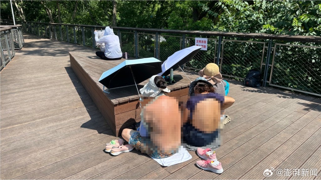 上海公園現「海豹曬背族」風潮 「三伏天」新奇養生法引熱議 上海公園現「海豹曬背族」風潮 「三伏天」新奇養生法引熱議