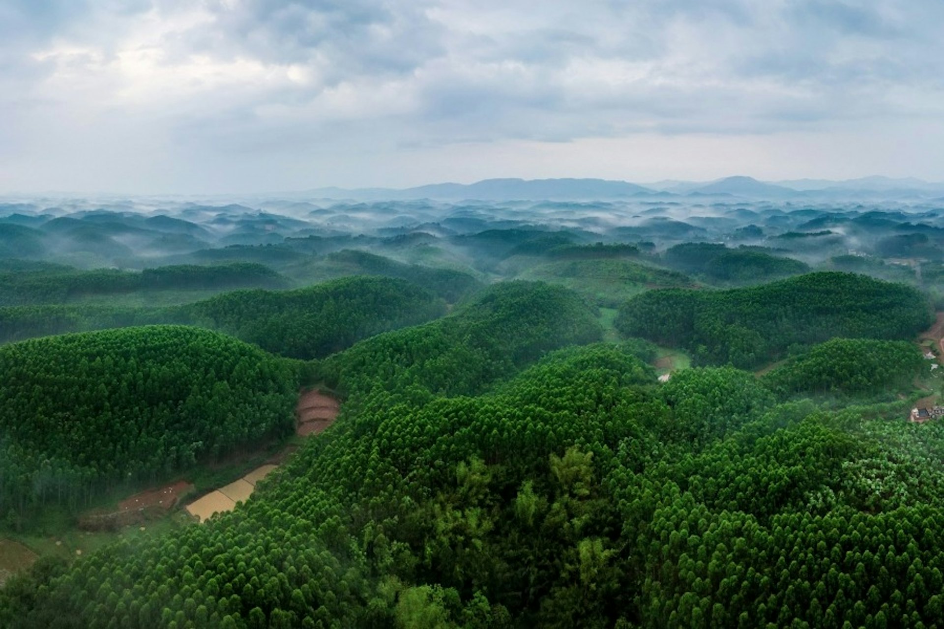 廣西日照和雨水充足,加上山地丘陵晝夜溫差大,這都是種植水果的有利條件。(視覺中國/當代中國授權) 廣西日照和雨水充足,加上山地丘陵晝夜溫差大,這都是種植水果的有利條件。(視覺中國/當代中國授權)