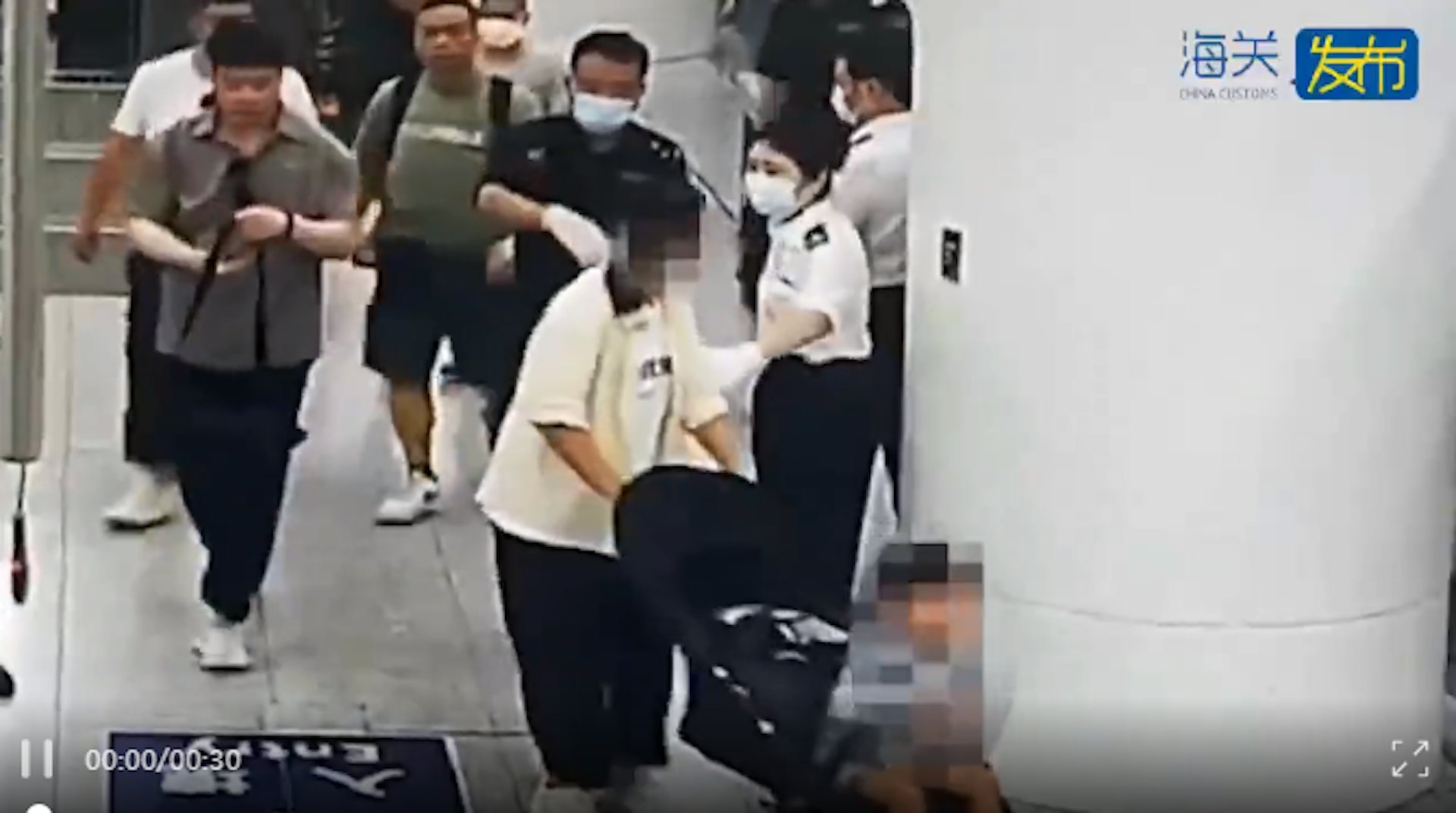 一名推嬰兒車的女性旅客身上綁藏12隻蜥蜴入境深圳被查。(海關發布) 一名推嬰兒車的女性旅客身上綁藏12隻蜥蜴入境深圳被查。(海關發布)