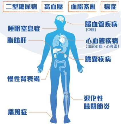 （圖片來源：截圖自香港肥胖醫學會）