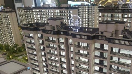 深圳樓盤5折賣樓遭業主抵制 恢復銷售僅一周即按暫停鍵