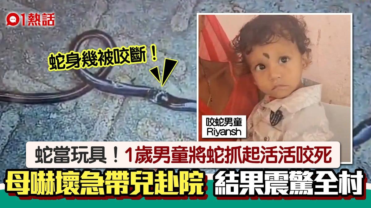 活蛇當玩具!1歲男童抓蛇放入口活活咬死 急送院結果嚇呆全村人 活蛇當玩具!1歲男童抓蛇放入口活活咬死 急送院結果嚇呆全村人