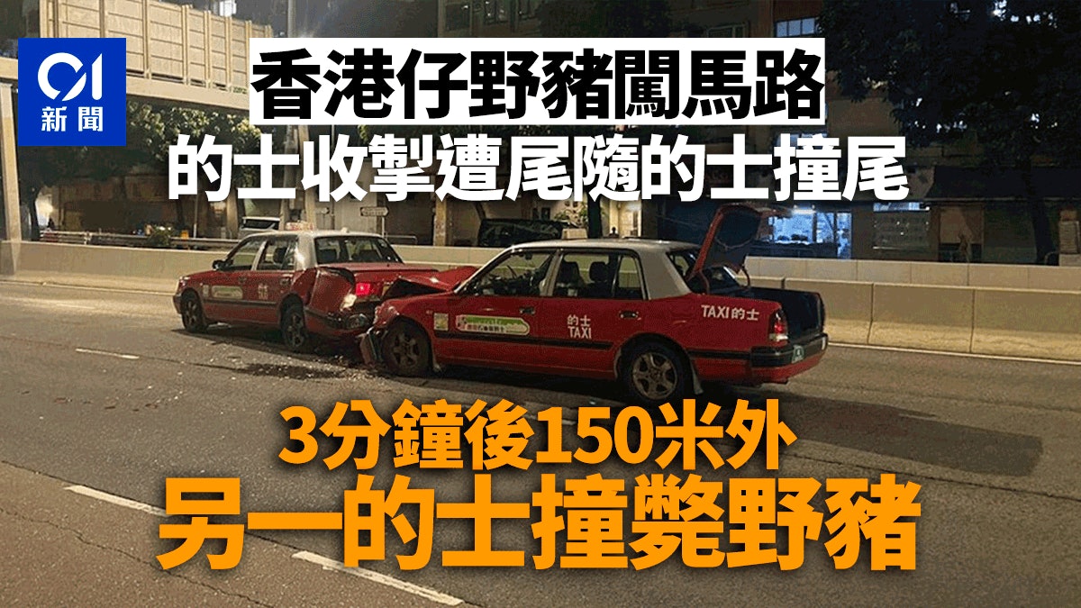 香港仔野豬闖馬路 2的士相撞共2傷 3分鐘後另一的士撞斃野豬 香港仔野豬闖馬路 2的士相撞共2傷 3分鐘後另一的士撞斃野豬