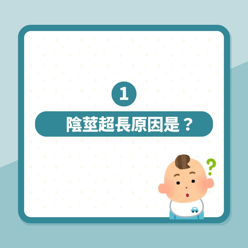 地球有古怪｜寄居蟹藏「巨丁」頂到上心口！進化出超長陰莖有輘輷（01製圖）