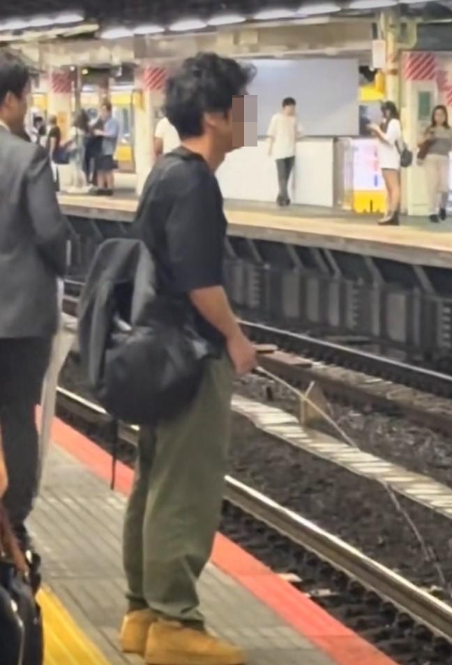 撒尿 