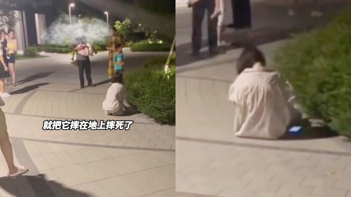 殺狗｜出街不戴狗帶　毛孩追到女童狂哭遭爺爺摔斃　狗主抱屍痛哭