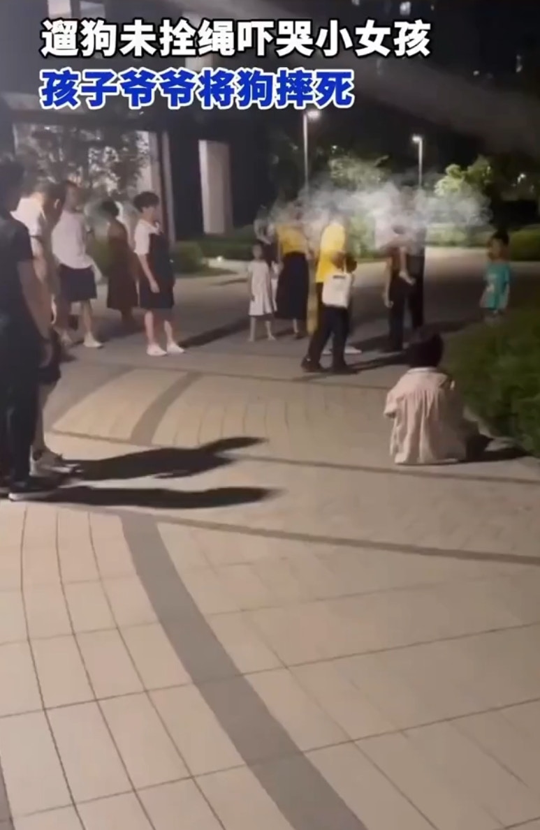 杭州女子遛狗未牽繩，毛孩疑似追到小女孩大哭，女孩爺爺見狀摔死狗狗，飼主跪地痛哭。（微博@點時新聞）