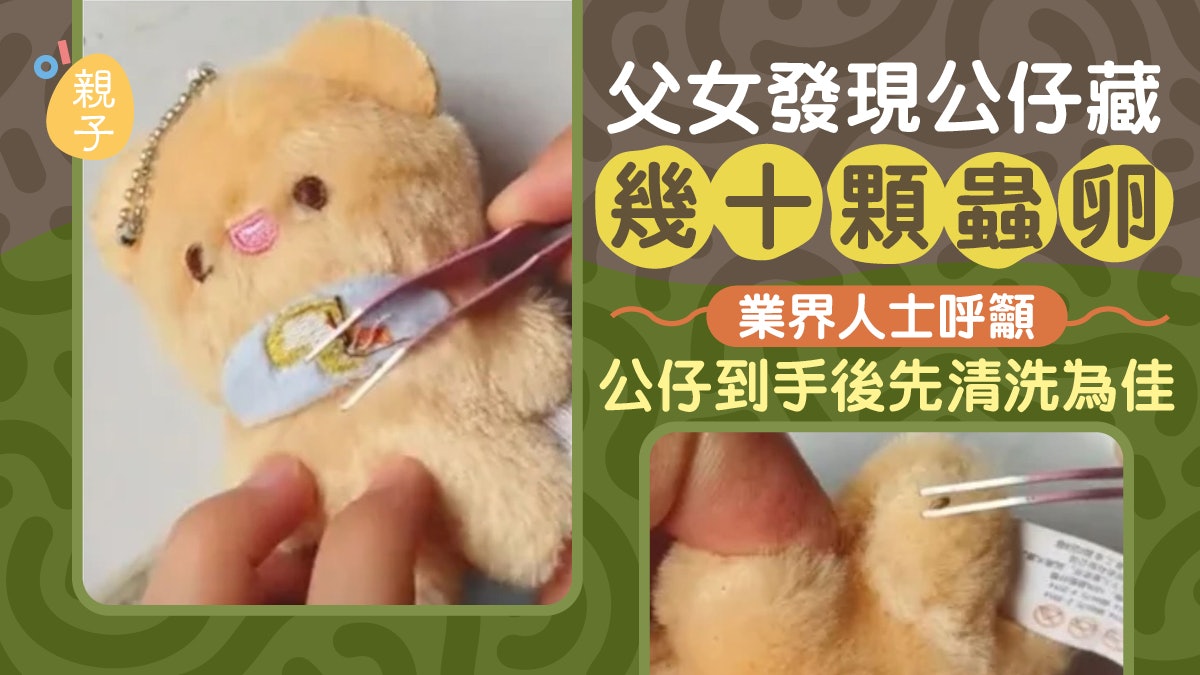 夾公仔機|超驚嚇!父女發現公仔藏「幾十顆蟲卵」 業界人士解釋 夾公仔機|超驚嚇!父女發現公仔藏「幾十顆蟲卵」 業界人士解釋