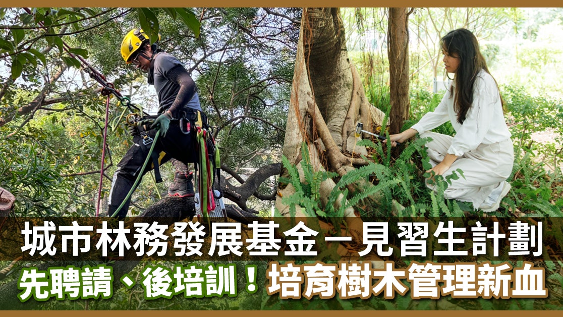 城市林務發展基金-見習生計劃|先聘請、後培訓 培育樹木管理新血 城市林務發展基金-見習生計劃|先聘請、後培訓 培育樹木管理新血