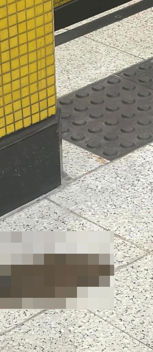 有乘客在油塘站閘內一樓梯位置，發現疑似糞便。（FB「全港店舖消息(開張執笠)關注組」圖片）