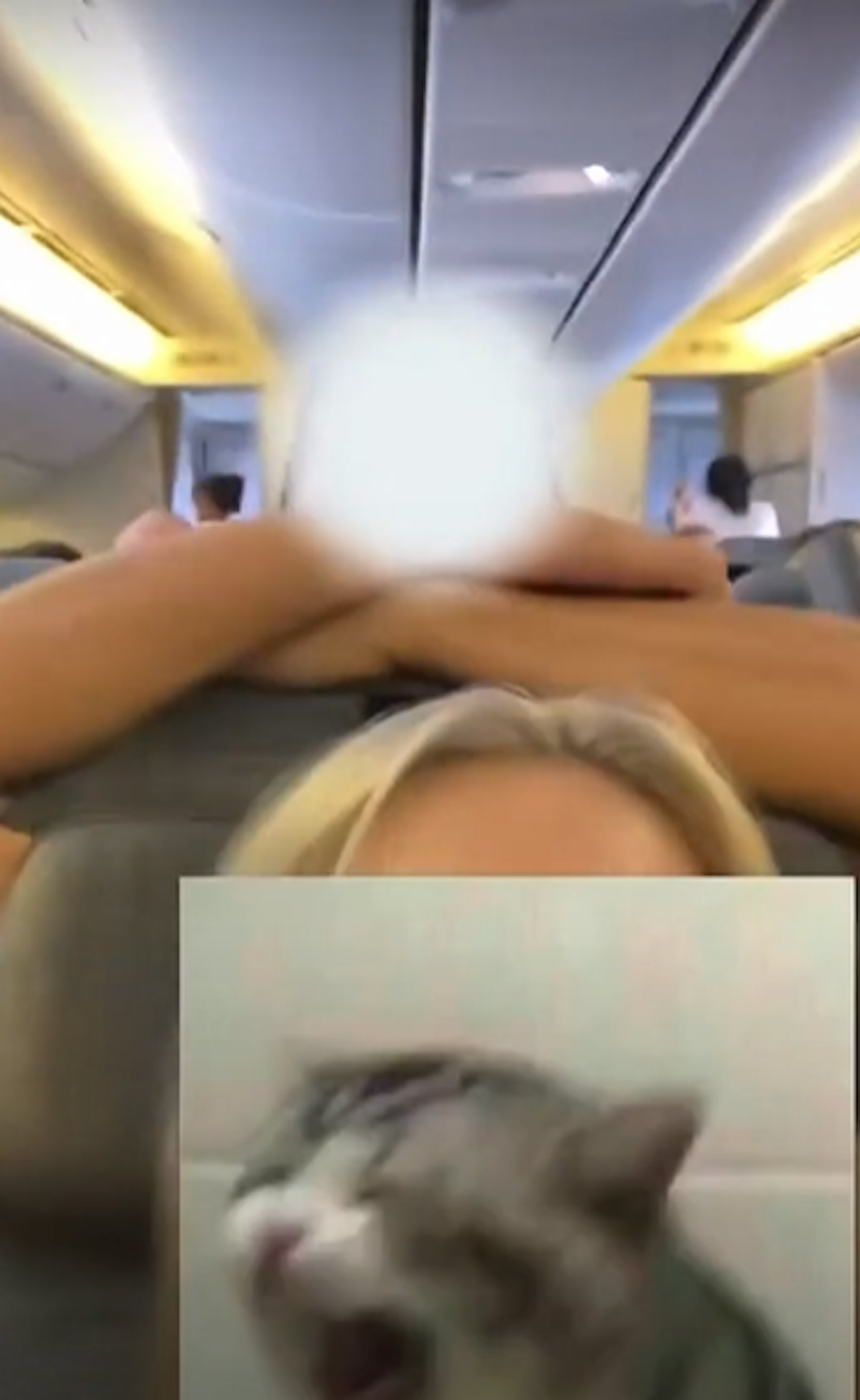 得知事主在拍攝後,大叔則直接把手放在事主的靠椅上瘋狂搖擺。(影片截圖)