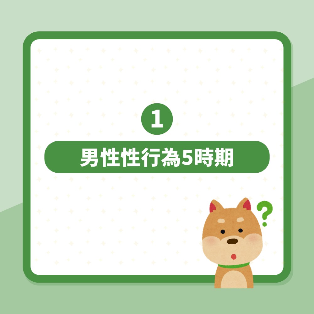 聖人模式是什麼？男性射精後射後不理有苦衷　科學解釋性愛冷知識（01製圖）