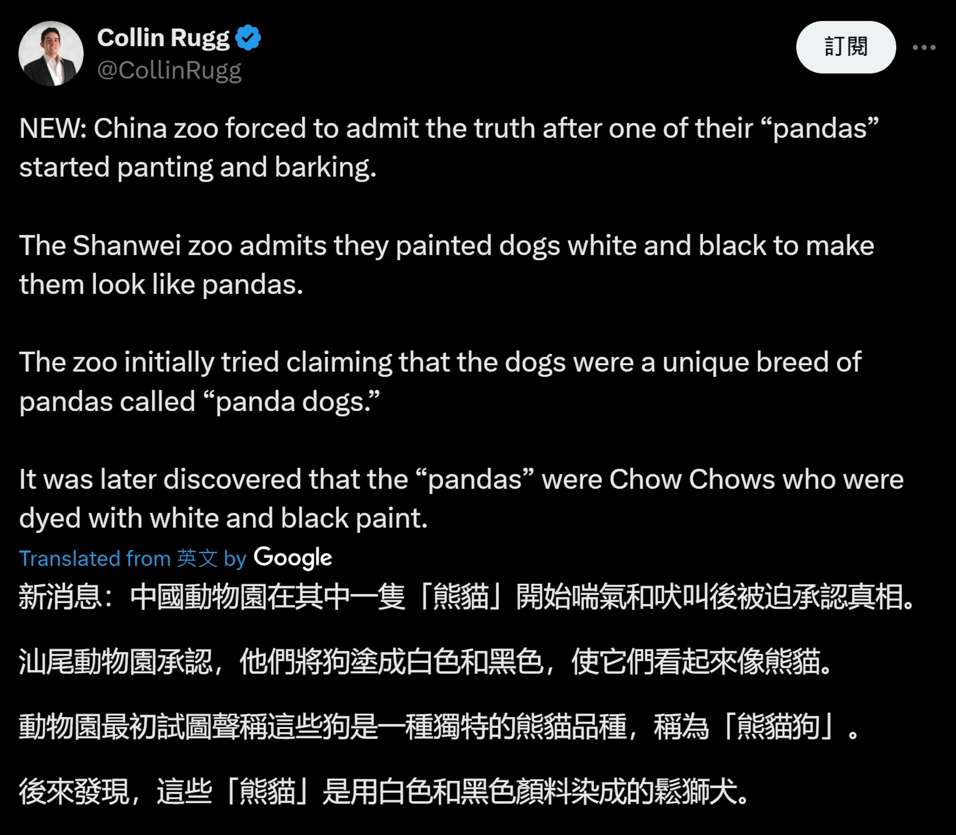 一名美國X用戶貼出影片,批評中國廣東汕尾寵物樂園用鬆獅犬扮熊貓。(X@CollinRugg) 一名美國X用戶貼出影片,批評中國廣東汕尾寵物樂園用鬆獅犬扮熊貓。(X@CollinRugg)