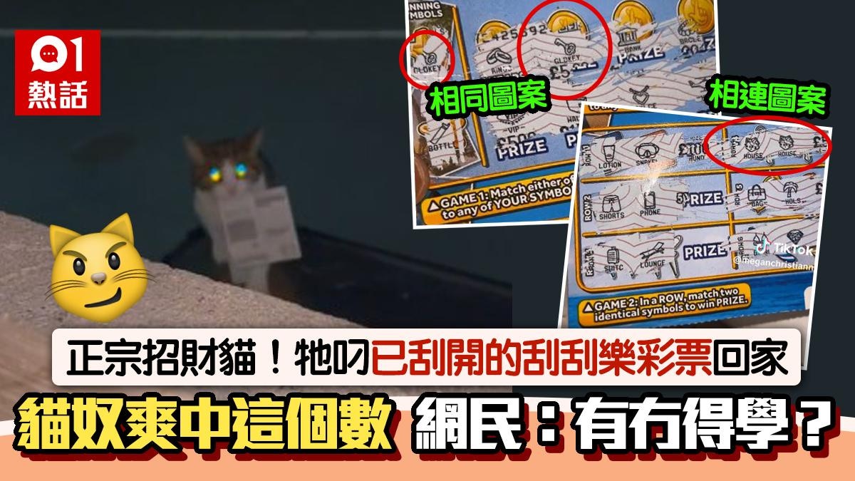招財貓！牠叼來刮刮樂彩票　主人爽中呢個數　網民：如何教我的貓