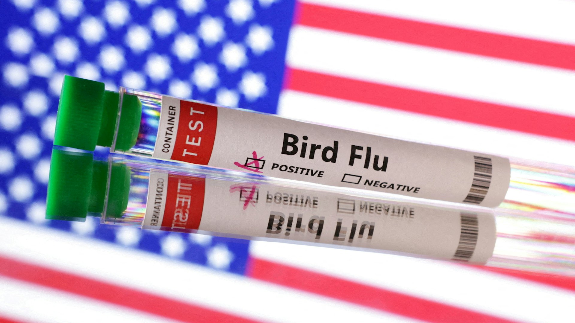 美國累計66人確診禽流感 CDC:密切追蹤疫情爆發「危險信號」 美國累計66人確診禽流感 CDC:密切追蹤疫情爆發「危險信號」