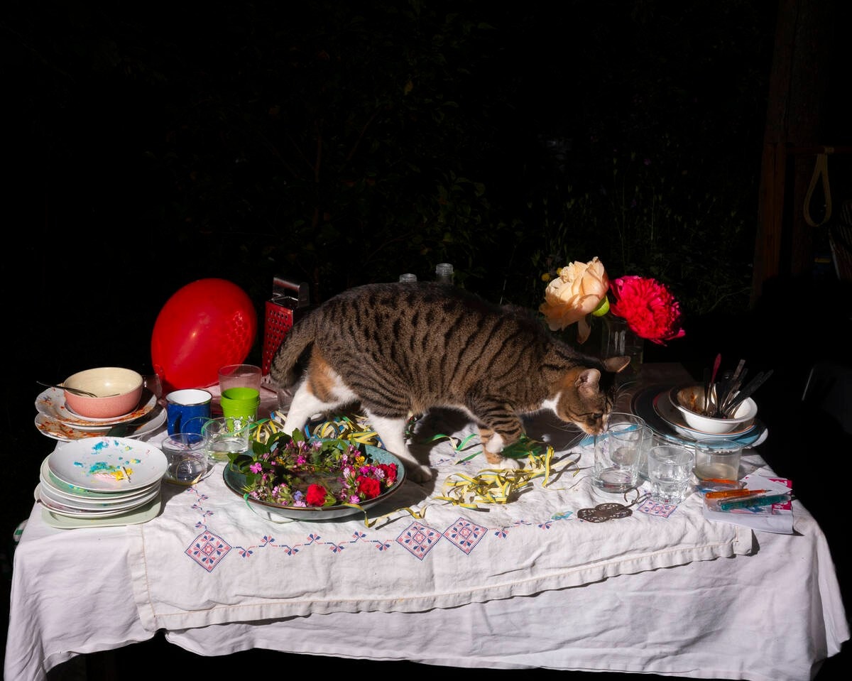 Lia Darjes《Plates I-XXXI》（圖片來源：https://moom.cat/l/63Uhnq）