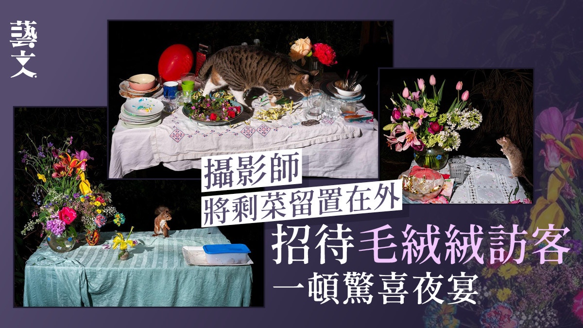 松鼠山雀來吃宵夜！攝影師留置剩菜　一窺毛絨絨不速之客夜間盛宴