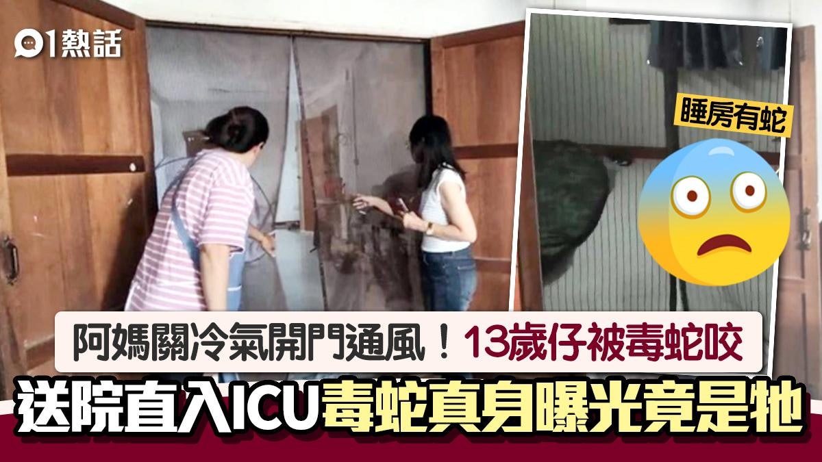 媽媽關冷氣開門通風!13歲仔遭蛇咬直送ICU 毒蛇真身竟是牠! 媽媽關冷氣開門通風!13歲仔遭蛇咬直送ICU 毒蛇真身竟是牠!