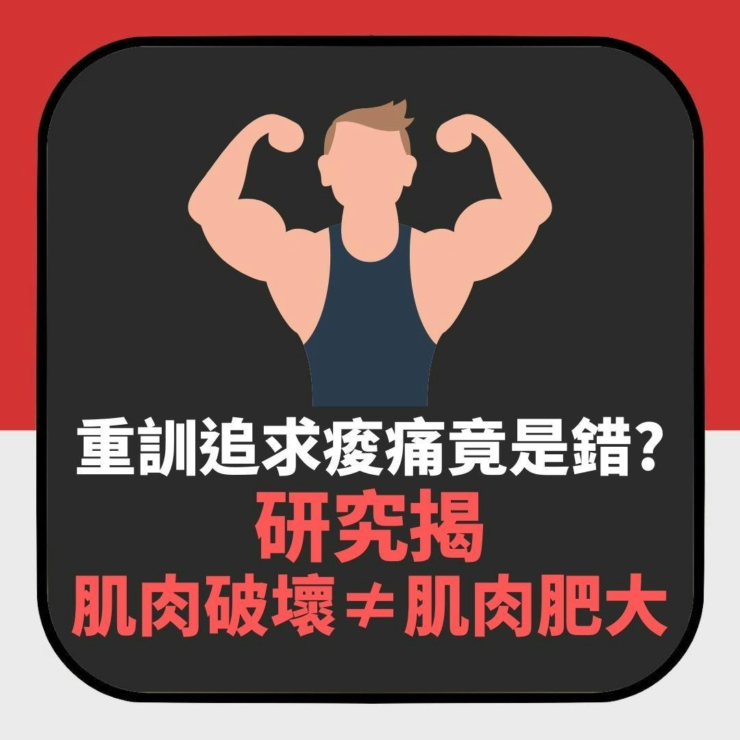 健身注意｜重訓追求痠痛竟是錯？研究揭「肌肉破壞≠肌肉量增加」（01製圖）