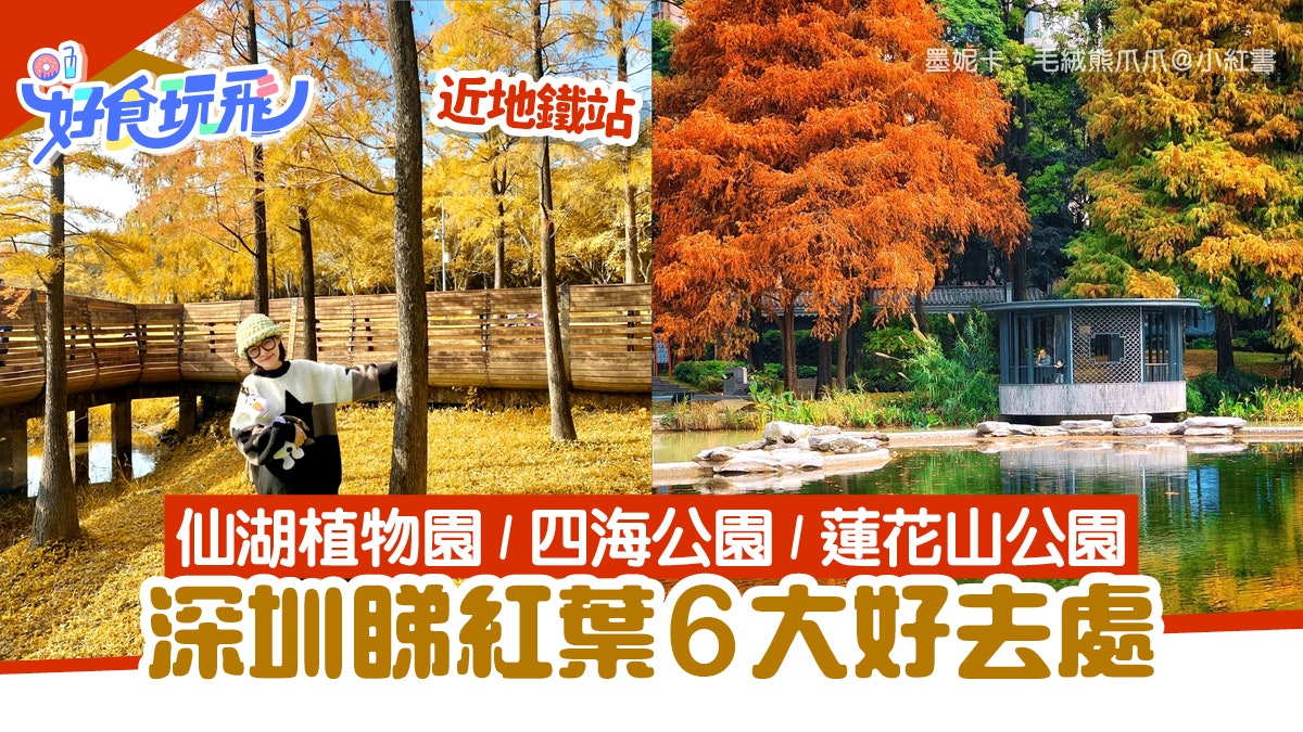 深圳紅葉|6大落羽松打卡景點 近地鐵站!仙湖植物園+四海公園 深圳紅葉|6大落羽松打卡景點 近地鐵站!仙湖植物園+四海公園