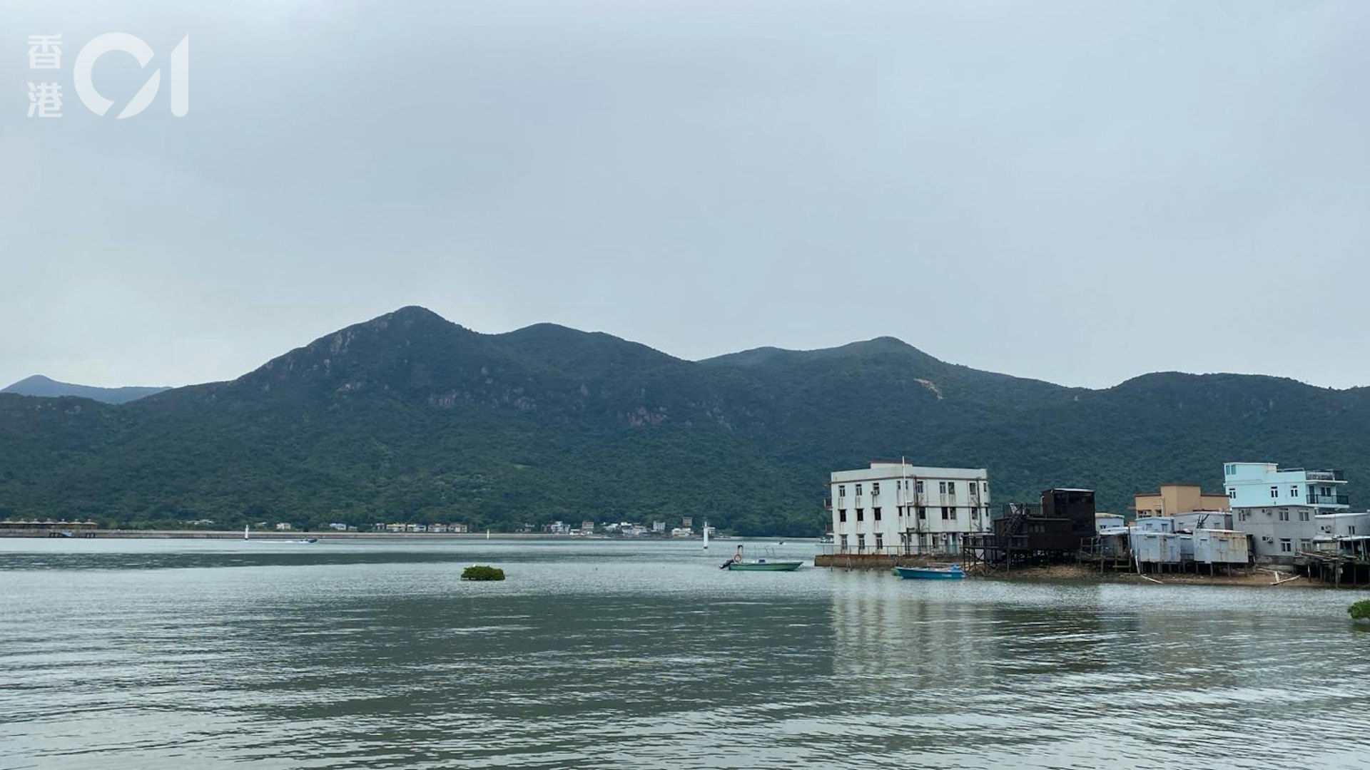 天文台預測今日(5日)日間乾燥。吹和緩北至東北風。(HK01記者攝) 天文台預測今日(5日)日間乾燥。吹和緩北至東北風。(HK01記者攝)