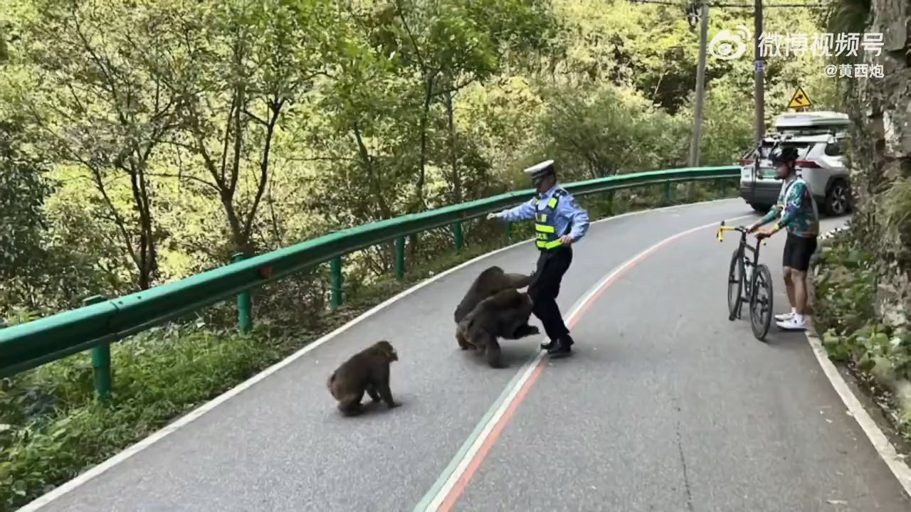 內地有盤山公路因群猴霸路而釀成塞車,交警到場處理時被猴子「襲擊」。(微博影片截圖) 內地有盤山公路因群猴霸路而釀成塞車,交警到場處理時被猴子「襲擊」。(微博影片截圖)
