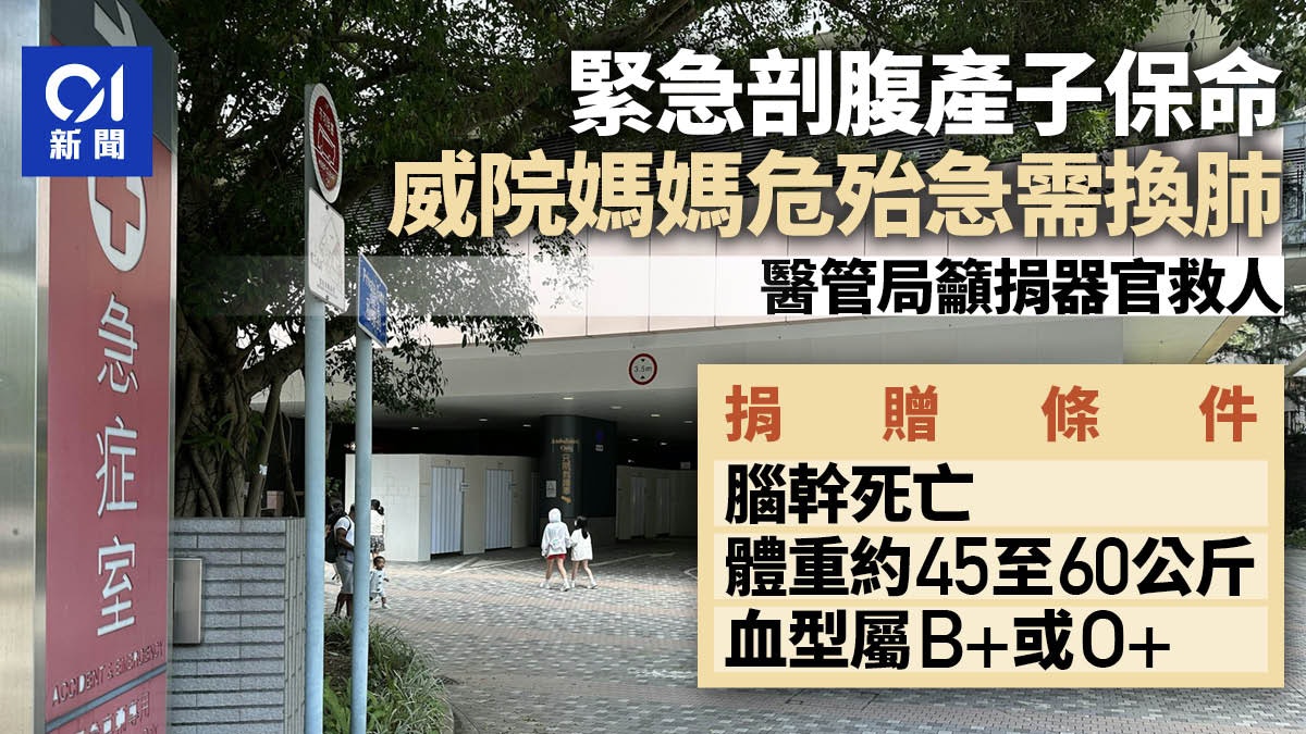求肺|剖腹產子媽媽危殆急需換肺 醫管局呼籲捐出離世親人肺臟 求肺|剖腹產子媽媽危殆急需換肺 醫管局呼籲捐出離世親人肺臟