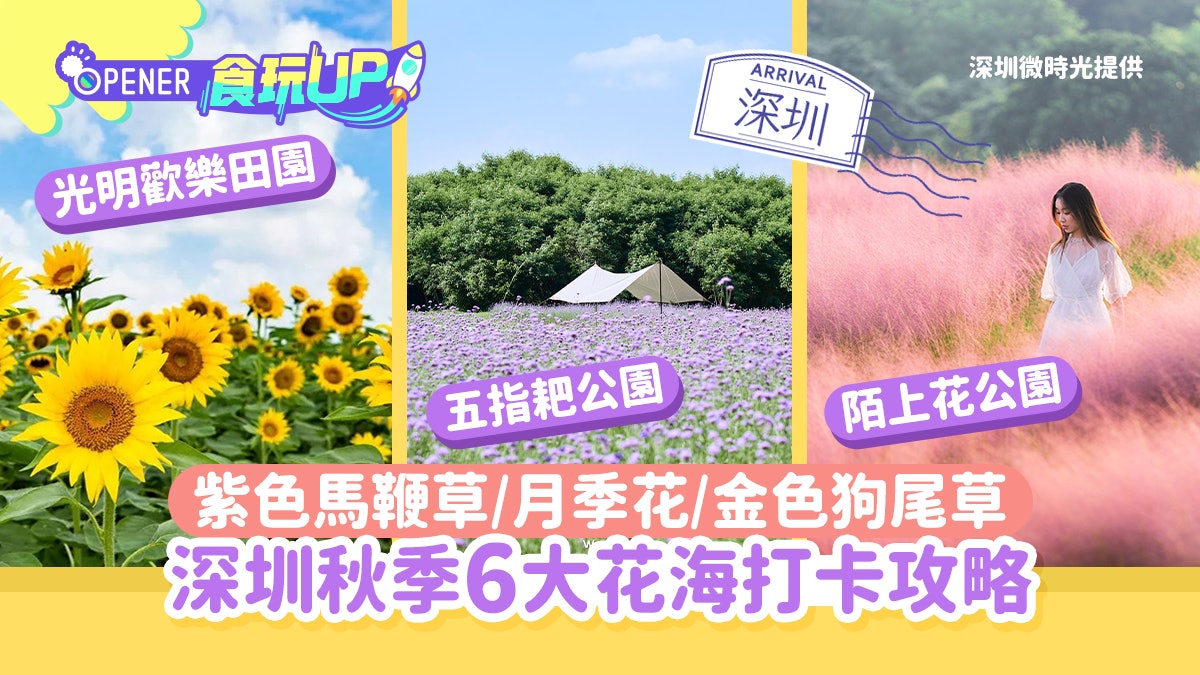 深圳賞花打卡攻略|6大秋季花海:紫色馬鞭草/月季花/金色狗尾草 深圳賞花打卡攻略|6大秋季花海:紫色馬鞭草/月季花/金色狗尾草