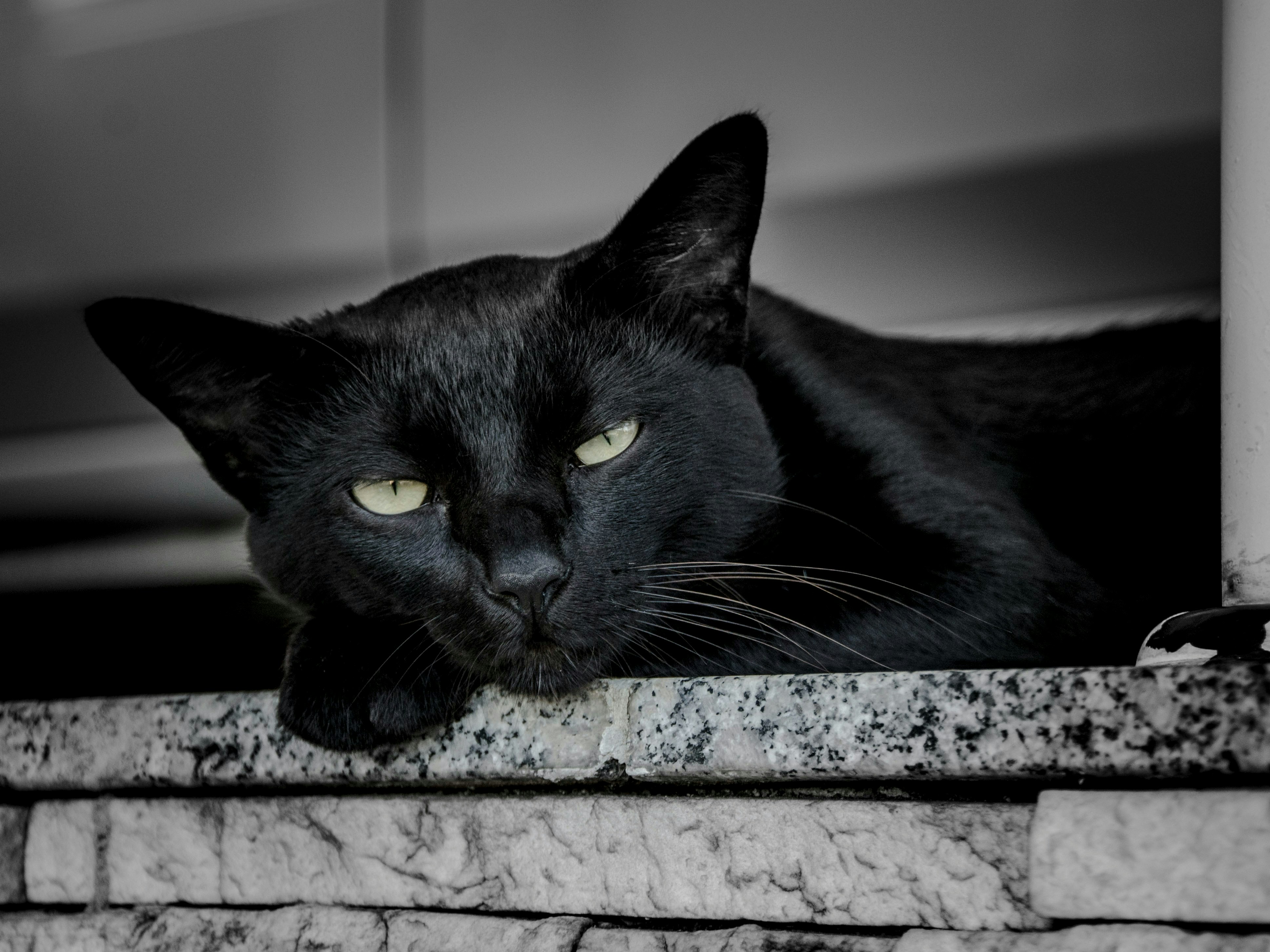 屁眼 