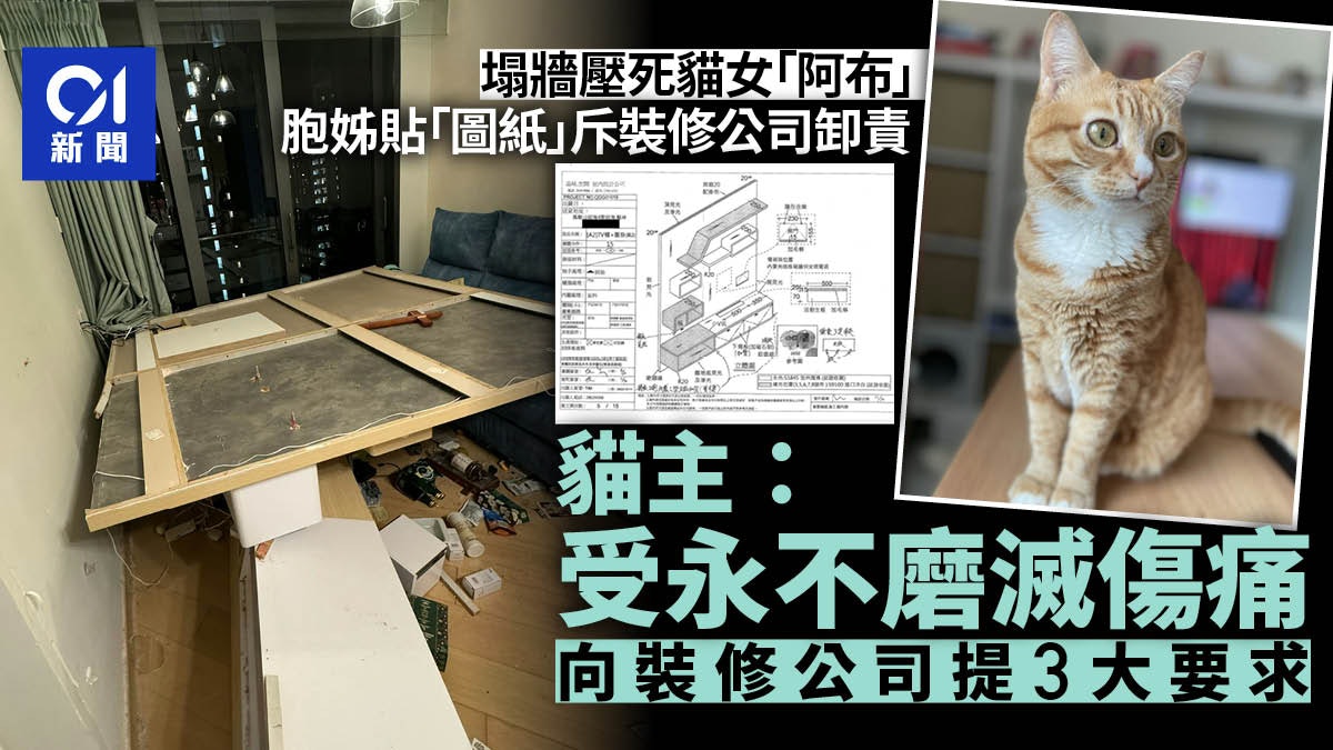 塌牆壓死貓|事主指受永不磨滅的傷痛 列3大要求促裝修公司跟進 塌牆壓死貓|事主指受永不磨滅的傷痛 列3大要求促裝修公司跟進
