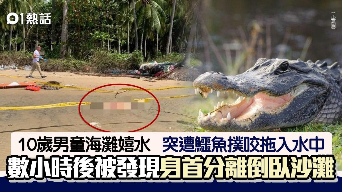 10歲男童與5友海灘嬉水 突被鱷魚扯入水中 頭部右手遭咬甩慘死 10歲男童與5友海灘嬉水 突被鱷魚扯入水中 頭部右手遭咬甩慘死