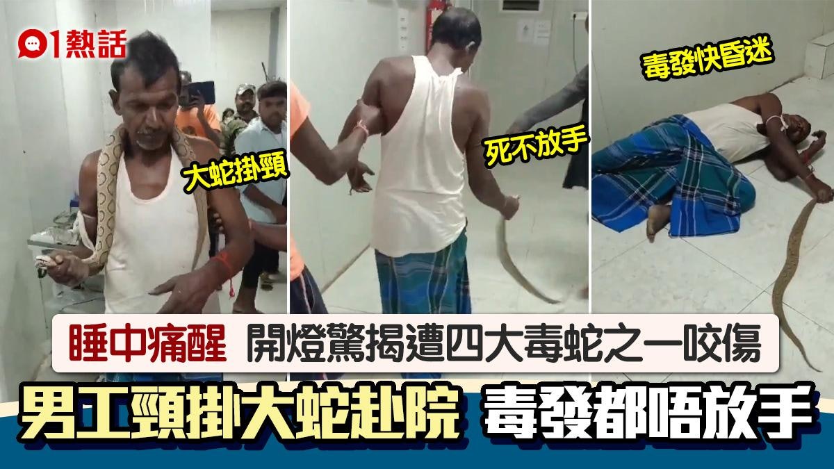 遭「四大毒蛇」咬傷!男子頸掛大蛇赴院 毒發快暈仍緊捉蛇頭不放 遭「四大毒蛇」咬傷!男子頸掛大蛇赴院 毒發快暈仍緊捉蛇頭不放