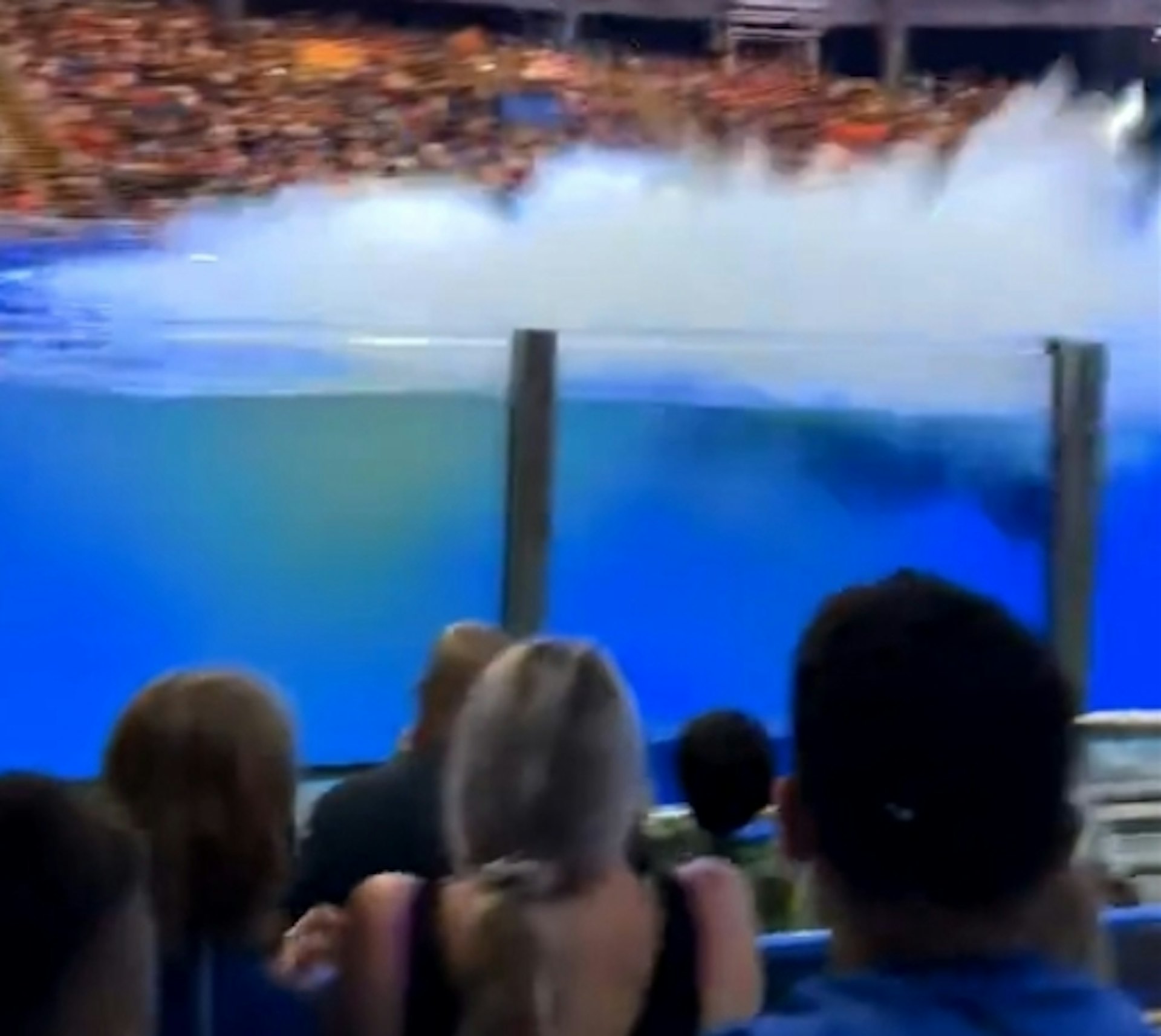 美國聖安東尼奧海洋世界一頭殺人鯨在表演途中突然排便,接著還將帶有糞便的水打向觀眾。(X@DallasTexasTV)