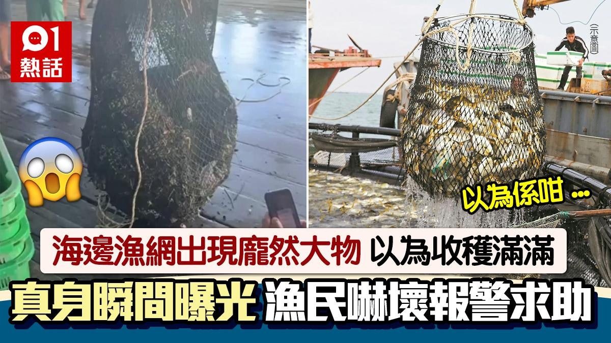 漁網捕獲龐然大物 生猛掙扎以為大豐收 真身曝光漁民嚇壞急報警 漁網捕獲龐然大物 生猛掙扎以為大豐收 真身曝光漁民嚇壞急報警