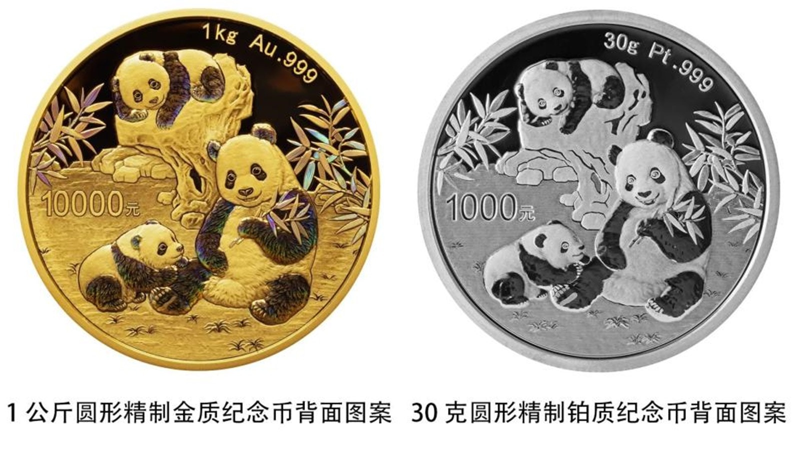 央行10月30日發行｢2025版熊貓紀念幣｣ 最大面額1萬元含純金1公斤