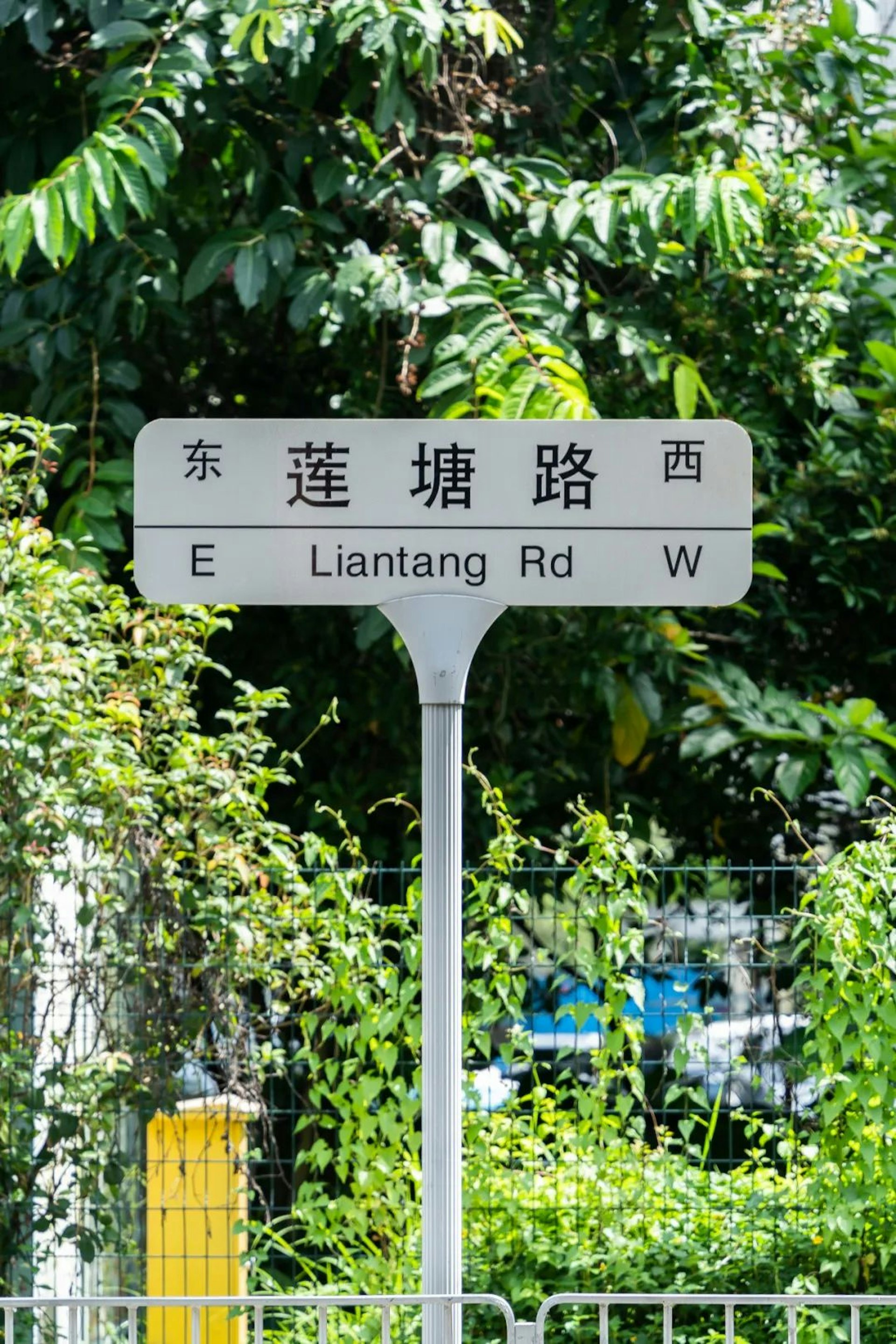 蓮塘雖在羅湖低調的角落,但這裏的生活並不單調,國威路、聚寶路、聚財路、羅沙路……數條道路組成了蓮塘人的生活區,相比於羅湖其它地區的喧囂,蓮塘多了一份靜謐,像是一個隱世寶地般的存在。(深圳派提供) 蓮塘雖在羅湖低調的角落,但這裏的生活並不單調,國威路、聚寶路、聚財路、羅沙路……數條道路組成了蓮塘人的生活區,相比於羅湖其它地區的喧囂,蓮塘多了一份靜謐,像是一個隱世寶地般的存在。(深圳派提供)