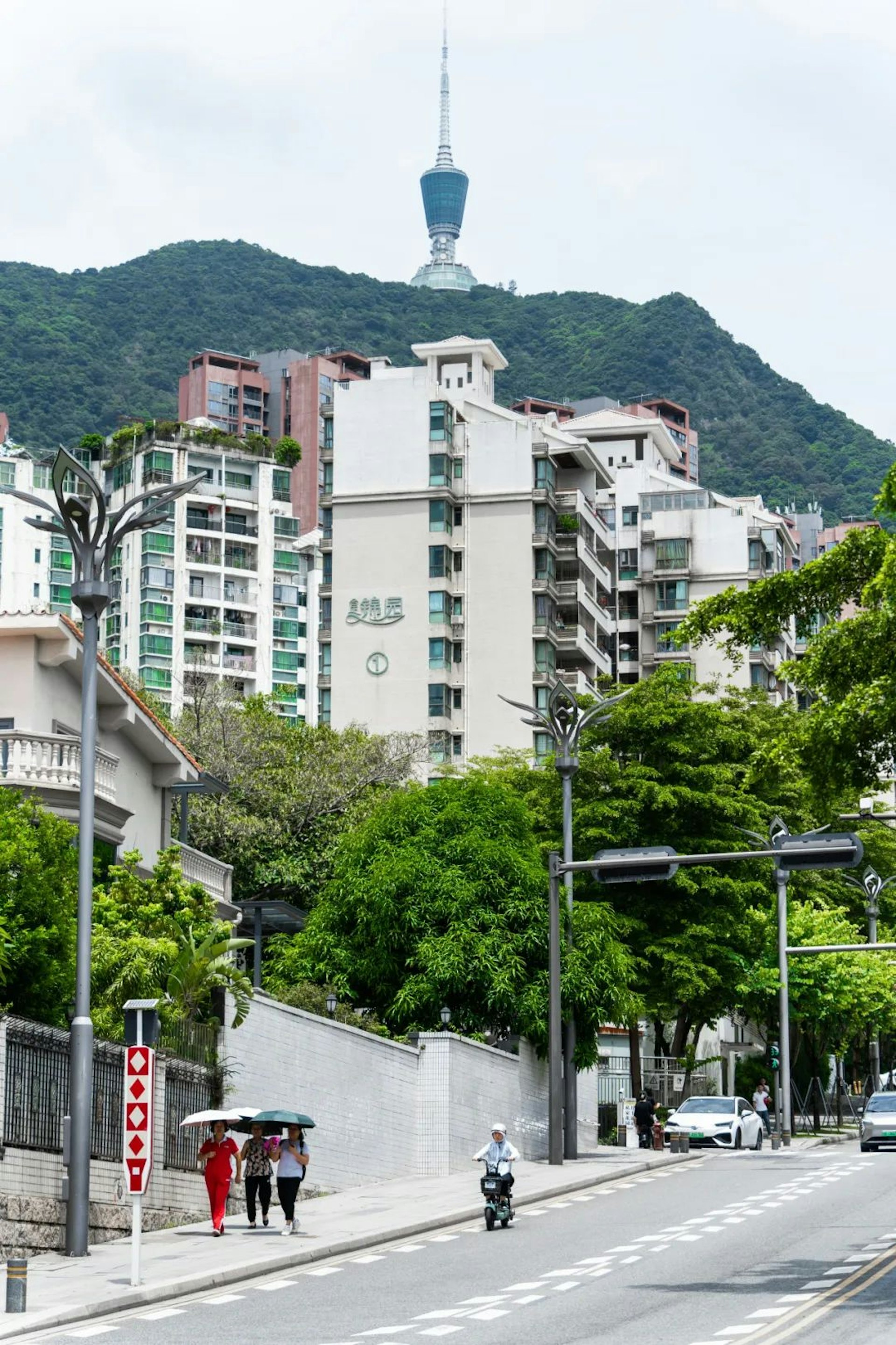 蓮塘雖在羅湖低調的角落,但這裏的生活並不單調,國威路、聚寶路、聚財路、羅沙路……數條道路組成了蓮塘人的生活區,相比於羅湖其它地區的喧囂,蓮塘多了一份靜謐,像是一個隱世寶地般的存在。(深圳派提供) 蓮塘雖在羅湖低調的角落,但這裏的生活並不單調,國威路、聚寶路、聚財路、羅沙路……數條道路組成了蓮塘人的生活區,相比於羅湖其它地區的喧囂,蓮塘多了一份靜謐,像是一個隱世寶地般的存在。(深圳派提供)