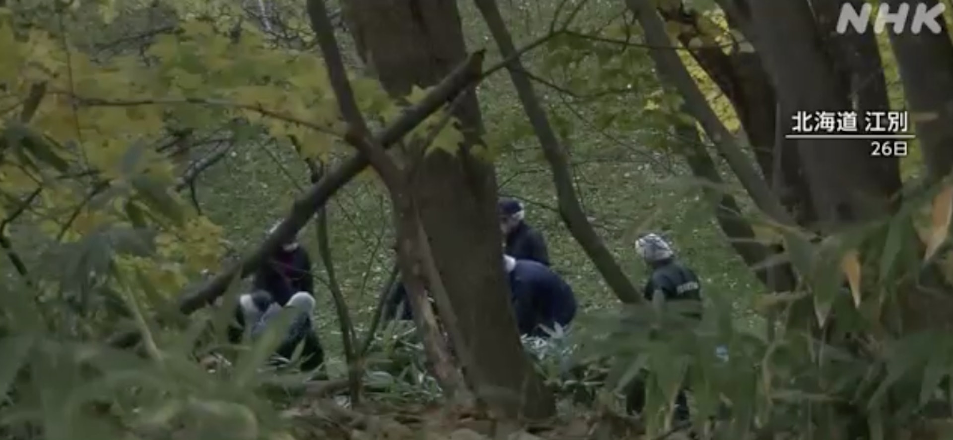 2024年10月26日,日本北海道有一名男大學生赤身裸體陳屍公園內,死者生前曾遭到多人毆打。圖為調查人員在涉事公園進行調查。(NHK影片截圖)