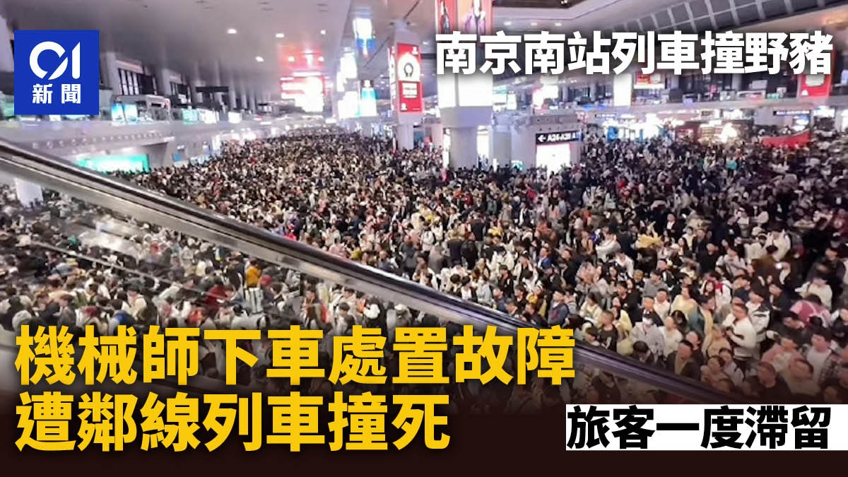 南京南站列車撞野豬 機械師處置時遭鄰線列車撞死 旅客一度滯留 南京南站列車撞野豬 機械師處置時遭鄰線列車撞死 旅客一度滯留