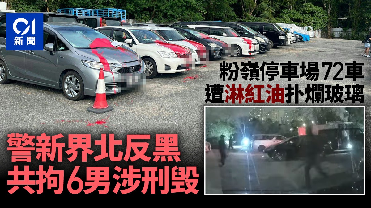 粉嶺停車場72車遭淋油扑玻璃 警新界北反黑拘6男涉刑毁 粉嶺停車場72車遭淋油扑玻璃 警新界北反黑拘6男涉刑毁