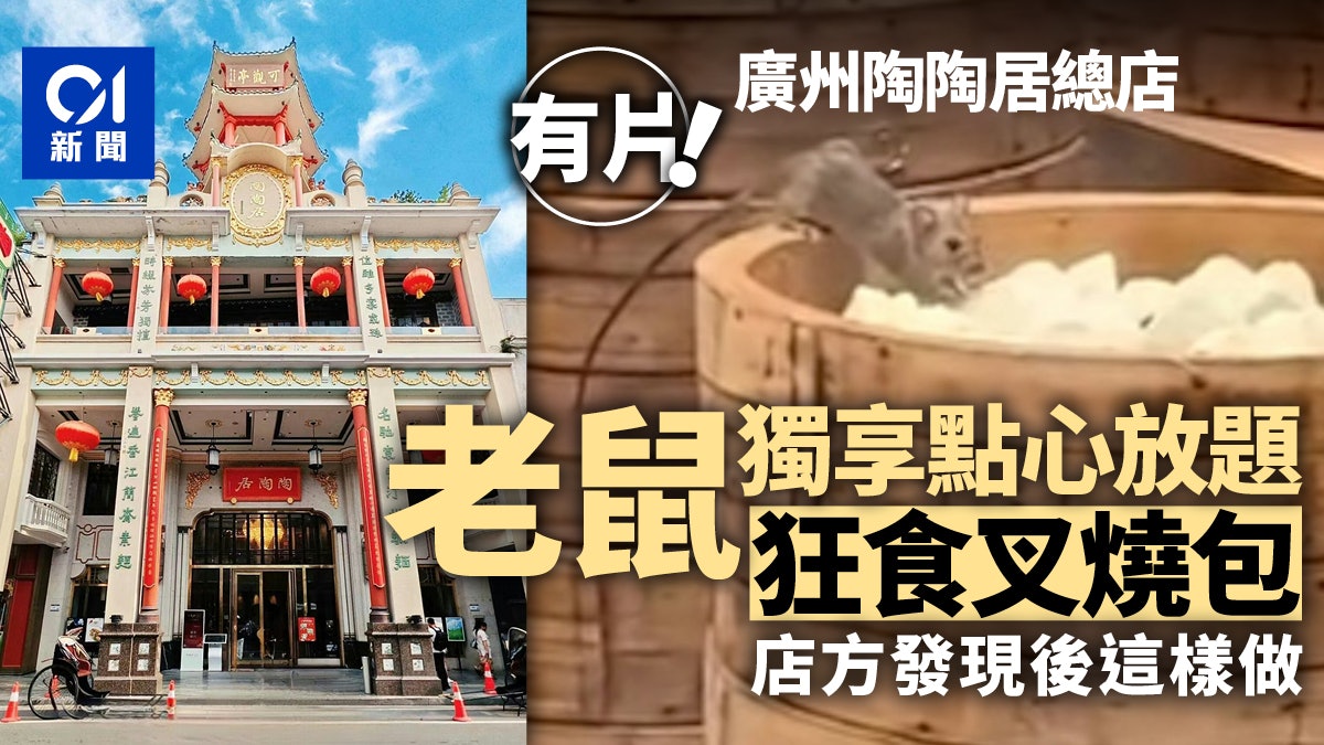 大快朵頤! 老鼠後廚享用叉燒包 廣州陶陶居:食品已銷毀|有片 大快朵頤! 老鼠後廚享用叉燒包 廣州陶陶居:食品已銷毀|有片