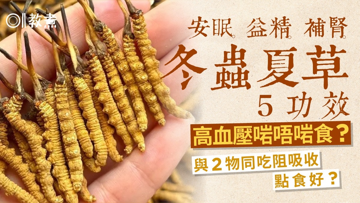 冬蟲夏草功效禁忌｜安眠益精補腎5功效與蟲草點分？忌與2物同食