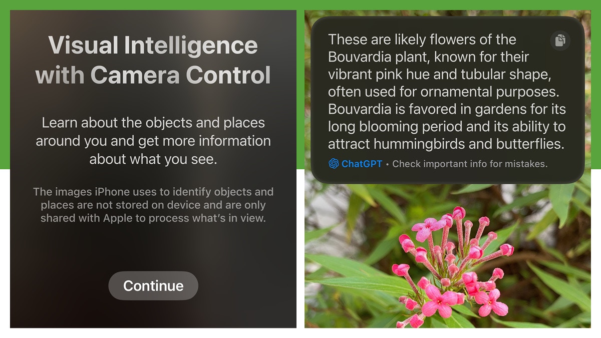 iOS 18.2 Visual Intelligence實測　ChatGPT超好用 卡路里都計到