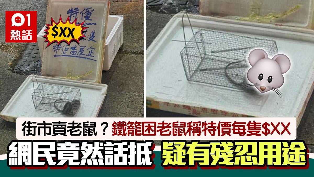 街市賣老鼠?鐵籠困老鼠特價每隻$XX 網民1原因話抵 猜用途殘忍 街市賣老鼠?鐵籠困老鼠特價每隻$XX 網民1原因話抵 猜用途殘忍