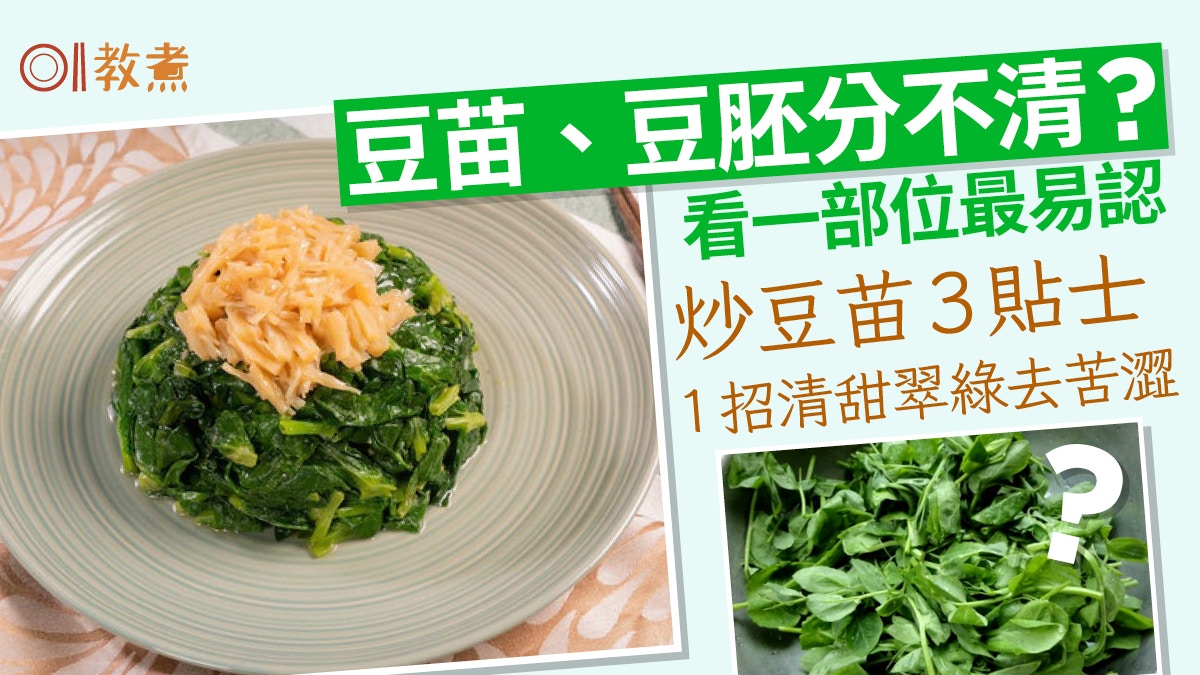 豆苗、豆胚分不清？1部位最易認！炒豆苗3貼士1招清甜翠綠去苦澀