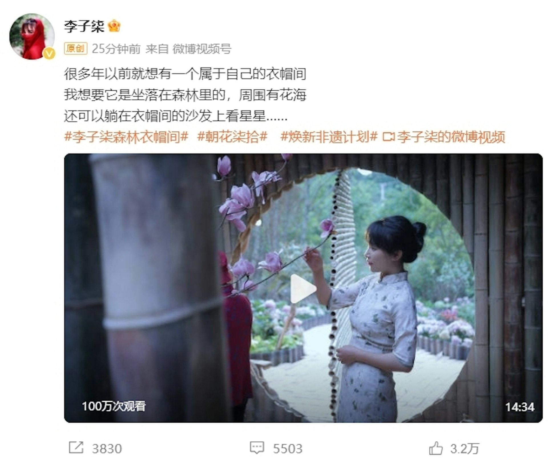 李子柒分享了她夢想中的衣帽間,背景是森林和花海。(微博) 李子柒分享了她夢想中的衣帽間,背景是森林和花海。(微博)