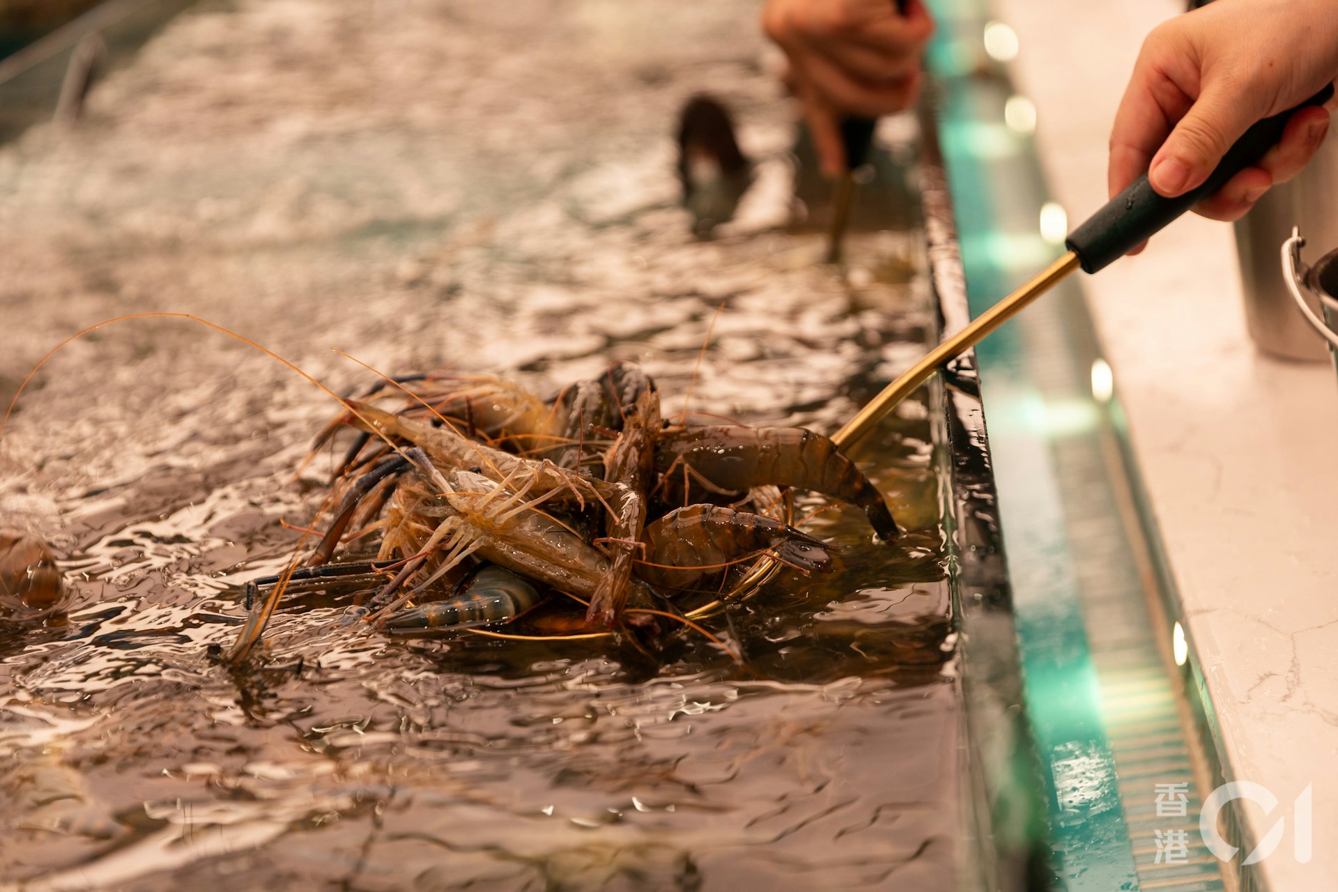 自助區的巨型水缸內放滿不同的生猛海鮮,包括鮑魚、大頭蝦、瀨尿蝦、三點蟹及各款貝類等。(周令知攝) 自助區的巨型水缸內放滿不同的生猛海鮮,包括鮑魚、大頭蝦、瀨尿蝦、三點蟹及各款貝類等。(周令知攝)