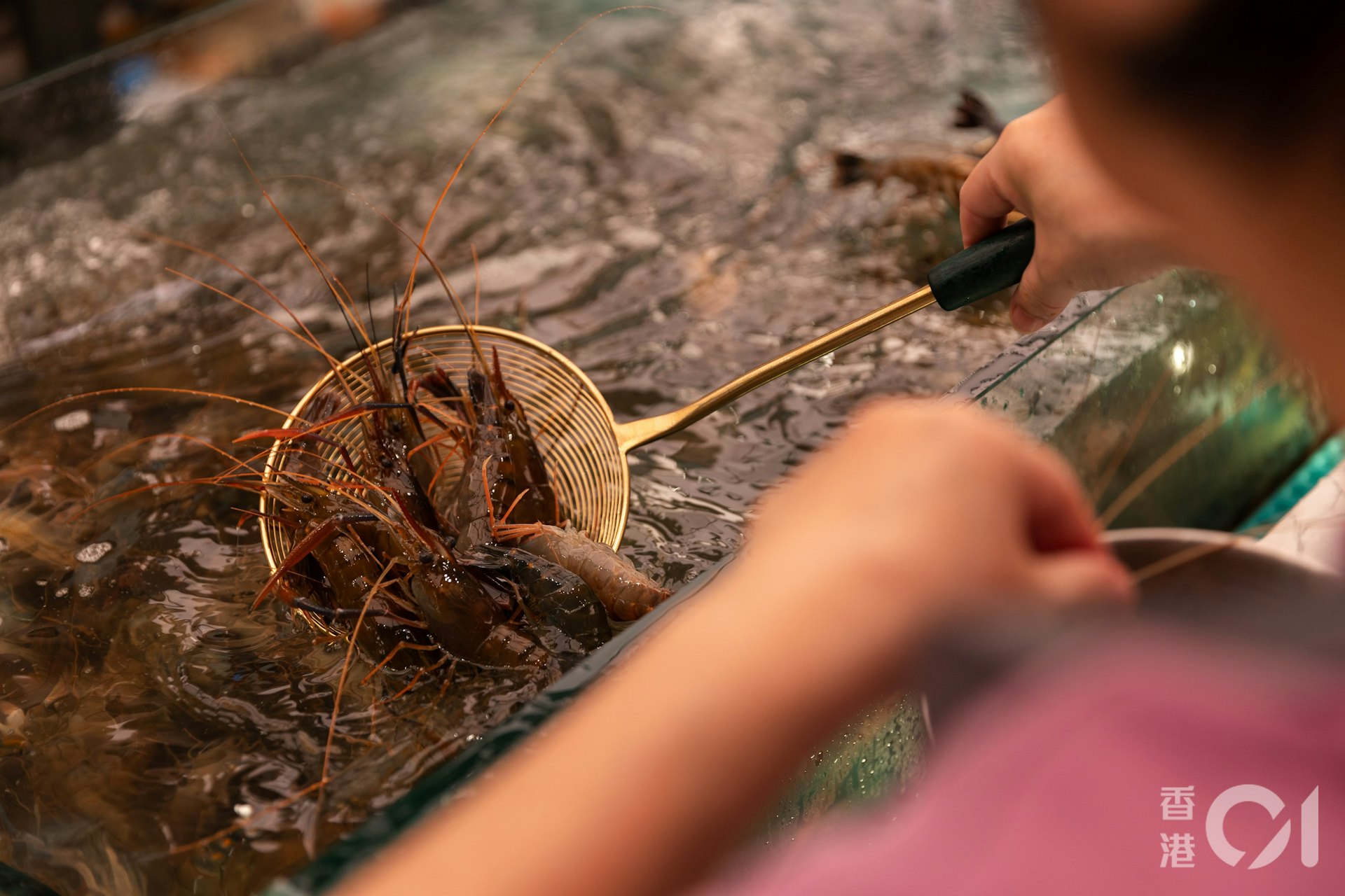 自助區的巨型水缸內放滿不同的生猛海鮮,包括鮑魚、大頭蝦、瀨尿蝦、三點蟹及各款貝類等。(周令知攝) 自助區的巨型水缸內放滿不同的生猛海鮮,包括鮑魚、大頭蝦、瀨尿蝦、三點蟹及各款貝類等。(周令知攝)